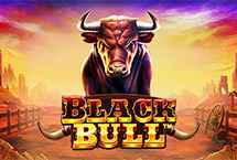 BLACK BULL